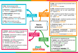 Natures et fonctions - Carte mentale : 11ème Harmos - PDF à imprimer