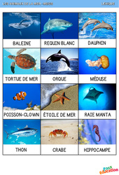 Les animaux de la mer - Lexique : 1ère, 2ème Harmos - PDF à imprimer