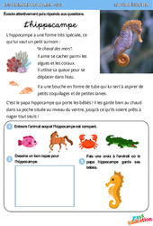 Hippocampe - Animaux de la mer - Savoir écouter en maternelle : 1ère, 2ème Harmos - PDF à imprimer