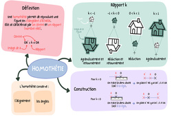 Homothétie (Introduction) - Carte mentale : 11ème Harmos - PDF à imprimer