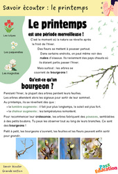 Le printemps - Découvrir l'écrit : 2ème Harmos - PDF à imprimer