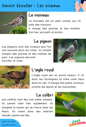 Les oiseaux - Découvrir l'écrit : 2ème Harmos - PDF à imprimer