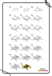 Tortue - Dessins à étapes : 2ème Harmos, 3eme, 4ème Harmos - PDF à imprimer