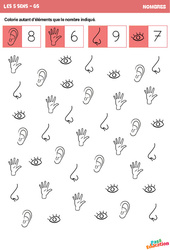 Les 5 sens - Nombres : 2ème Harmos - PDF à imprimer