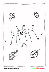 Automne - Points à relier, nombres jusqu'à 20 : 1ère, 2ème Harmos - PDF à imprimer