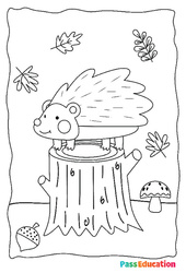 Automne - Coloriage : 2ème Harmos, 3eme, 4ème Harmos - PDF à imprimer