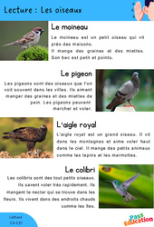 Les oiseaux - Lecture : 3eme, 4ème Harmos - PDF à imprimer