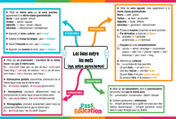 Les liens entre les mots- Fiches (synonymes, antonymes, paronymes, homonymes) - Carte mentale : 10ème Harmos - PDF à imprimer