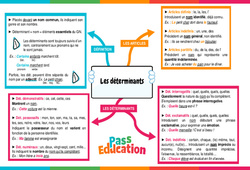 Les déterminants - Carte mentale : 10ème Harmos - PDF à imprimer