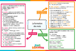 La formation des mots - Carte mentale : 10ème Harmos - PDF à imprimer