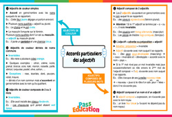 Accords particuliers des adjectifs - Carte mentale : 10ème Harmos - PDF à imprimer