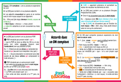 Accords dans un groupe nominal complexe - Carte mentale : 10ème Harmos - PDF à imprimer