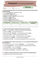 Les accords du participe passé - Exercices corrigés : 10ème Harmos - PDF à imprimer