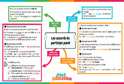 Les accords du participe passé - Carte mentale : 10ème Harmos - PDF à imprimer