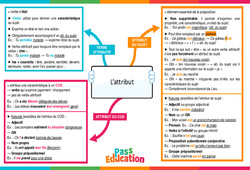 L’attribut - Carte mentale : 10ème Harmos - PDF à imprimer