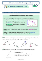 Utiliser le vocabulaire de la trigonométrie -  avec Mon Pass Maths : 11ème Harmos - PDF à imprimer