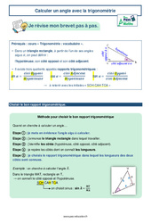 Calculer un angle avec la trigonométrie -  avec Mon Pass Maths : 11ème Harmos - PDF à imprimer