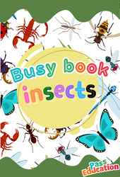 Insects - Fichier d'activités - Anglais : 5ème Harmos - PDF à imprimer