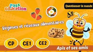 Régimes et réseaux alimentaires - Vidéo pédagogique - Apis & ses amis : 3eme Harmos