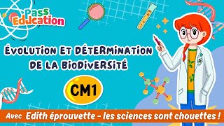 Vidéo Évolution et détermination de la biodiversité - Vidéo pédagogique - Edith Eprouvette : 6ème Harmos
