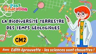 La biodiversité terrestre des temps géologiques - Vidéo pédagogique - Edith Eprouvette : 7ème Harmos