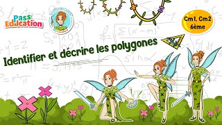 Identifier et décrire les polygones - Vidéo pédagogique - La Fée des Maths : 6ème, 7ème, 8ème Harmos