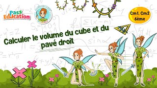 Calculer le volume du cube et du pavé droit - Vidéo pédagogique - La Fée des Maths : 6ème, 7ème, 8ème Harmos