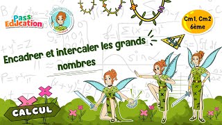 Encadrer et intercaler les grands nombres - Vidéo pédagogique - La Fée des Maths : 8ème Harmos
