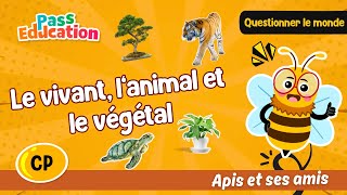 Le vivant, l’animal et le végétal - Vidéo pédagogique - Apis & ses amis : 3eme Harmos