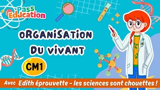 Organisation des êtres vivants - Vidéo pédagogique - Edith Eprouvette : 6ème Harmos