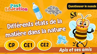 Différents états de la matière dans la nature - Vidéo pédagogique - Apis & ses amis : 3eme Harmos