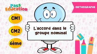L'accord dans le groupe nominal - Vidéo pédagogique : 6ème, 7ème, 8ème Harmos