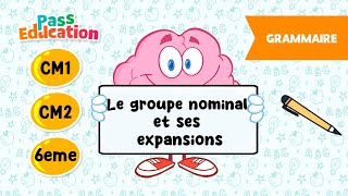 Le groupe nominal et ses expansions - Vidéo pédagogique - : 6ème, 7ème, 8ème Harmos