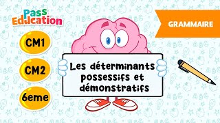Les déterminants possessifs et démonstratifs - Vidéo pédagogique : 6ème, 7ème, 8ème Harmos