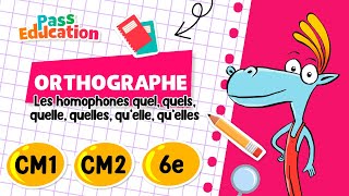 Les homophones quel, quels, quelle, quelles, .. - Vidéo pédagogique : 6ème, 7ème, 8ème Harmos