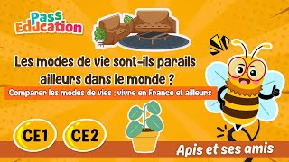 Les modes de vie sont - ils parails ailleurs dans le monde ? - Vidéo pédagogique - Apis & ses amis : 4ème, 5ème Harmos