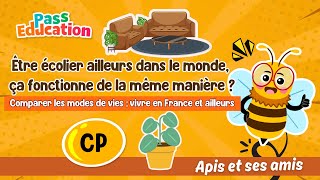 Être écolier ailleurs dans le monde, ça fonctionne de la même manière ? - Vidéo pédagogique - Apis & ses amis : 3eme Harmos