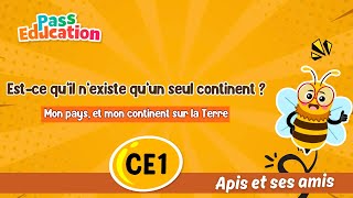 Est - ce qu’il n’existe qu’un seul continent ? - Vidéo - Apis & ses amis : 4ème Harmos