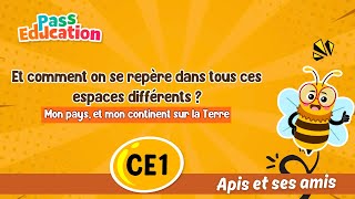 Et comment on se repère dans tous ces espaces différents ? - Vidéo - Apis & ses amis : 4ème Harmos