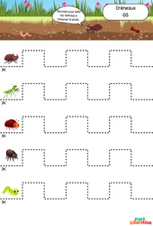 Les insectes - Créneaux - Apprendre à découper : 2ème Harmos - Cycle 1 - PDF à imprimer
