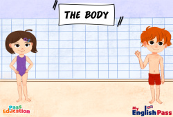 The body - Vocabulaire - Vidéo interactive - Apprends l'anglais avec Kelly and James : 2ème Harmos, 3eme, 4ème, 5ème, 6ème, 7ème Harmos