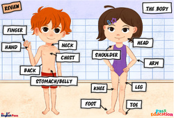 Leçon The body - Vocabulaire - Cours, Leçon/Flashcard - Apprends l'anglais avec Kelly and James : 2ème Harmos, 3eme, 4ème, 5ème, 6ème, 7ème Harmos - Cycle 1 - PDF à imprimer