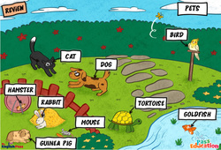 Leçon Animals (Pets) - Vocabulaire - Cours, Leçon/Flashcard - Apprends l'anglais avec Kelly and James : 2ème Harmos, 3eme, 4ème, 5ème, 6ème, 7ème Harmos - Cycle 1 - PDF à imprimer