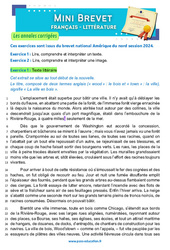 Exercice Wood’stown - A. Daudet - Mini - brevet - Français - Annales corrigées : 11ème Harmos - Cycle 4 - PDF à imprimer