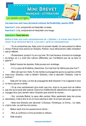 Exercice Globalia - Jean - Christophe Rufin - Mini - brevet - Français - Annales corrigées : 11ème Harmos - Cycle 4 - PDF à imprimer