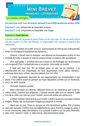 Exercice L’enfant multiple - A. Chedid - Mini - brevet - Français - Annales corrigées : 11ème Harmos - Cycle 4 - PDF à imprimer