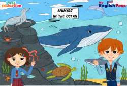 Animals in the Ocean - Vocabulaire - Vidéo interactive - Apprends l'anglais avec Kelly and James : 2ème Harmos, 3eme, 4ème, 5ème, 6ème, 7ème Harmos