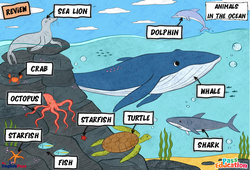 Animals in the Ocean - Vocabulaire - Cours, Leçon/Flashcard - Apprends l'anglais avec Kelly and James : 2ème Harmos, 3eme, 4ème, 5ème, 6ème, 7ème Harmos - Cycle 1 - PDF à imprimer