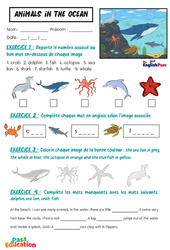 Animals in the Ocean - Vocabulaire - Exercices - Apprends l'anglais avec Kelly and James : 2ème Harmos, 3eme, 4ème, 5ème, 6ème, 7ème Harmos - Cycle 1 - PDF à imprimer
