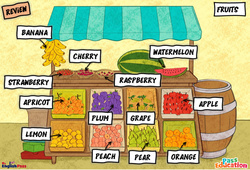 Leçon Fruits - Vocabulaire - Cours, Leçon/Flashcard - Apprends l'anglais avec Kelly and James : 2ème Harmos, 3eme, 4ème, 5ème, 6ème, 7ème Harmos - Cycle 1 - PDF à imprimer